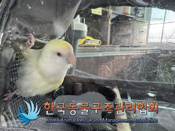 한국동물구조관리협회_411315202500013