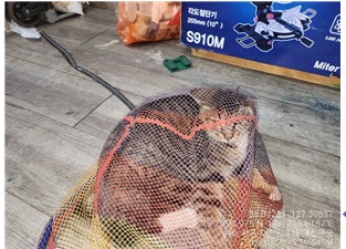 종료(입양) 한국 …