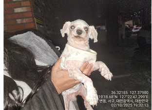 대전동물보호센터_430366202500022