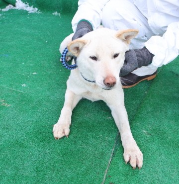 제주 동물보호센터_450650202500320