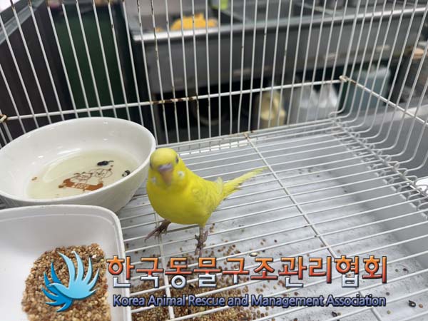 한국동물구조관리협회_411322202500011