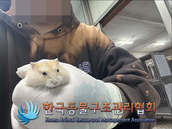 한국동물구조관리협회_441392202500022