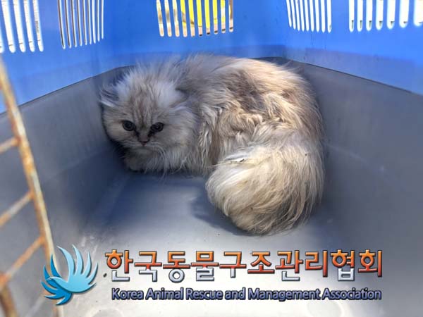 한국동물구조관리협회_441406202500062