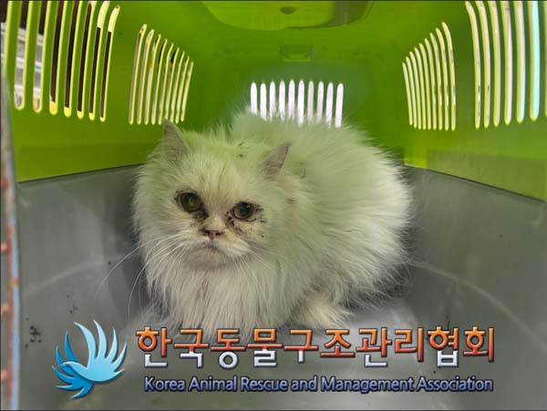 한국동물구조관리협회_441406202500061