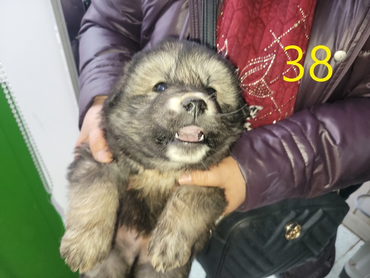 신영재동물병원_428355202500038