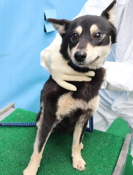 제주 동물보호센터_450650202500329