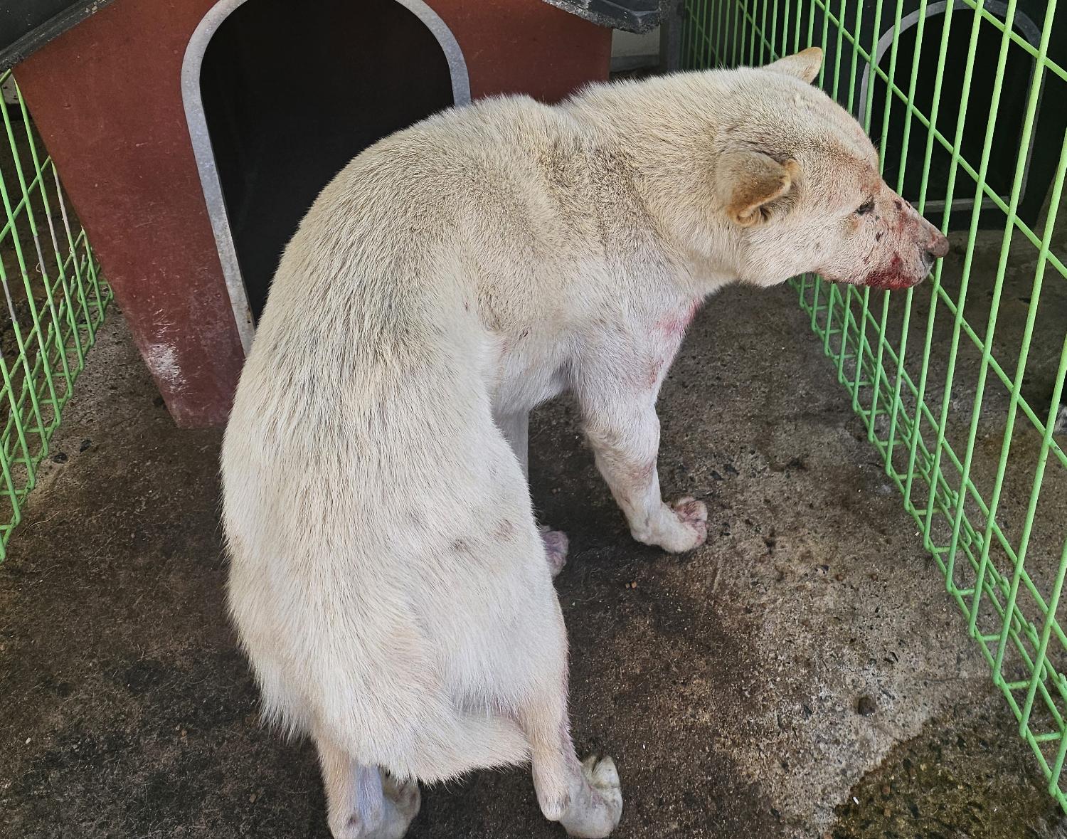 울진군동물보호센터_447525202500045