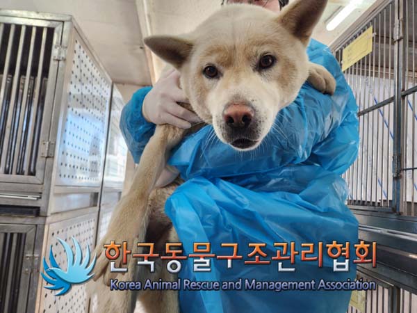 한국동물구조관리협회_441559202500071