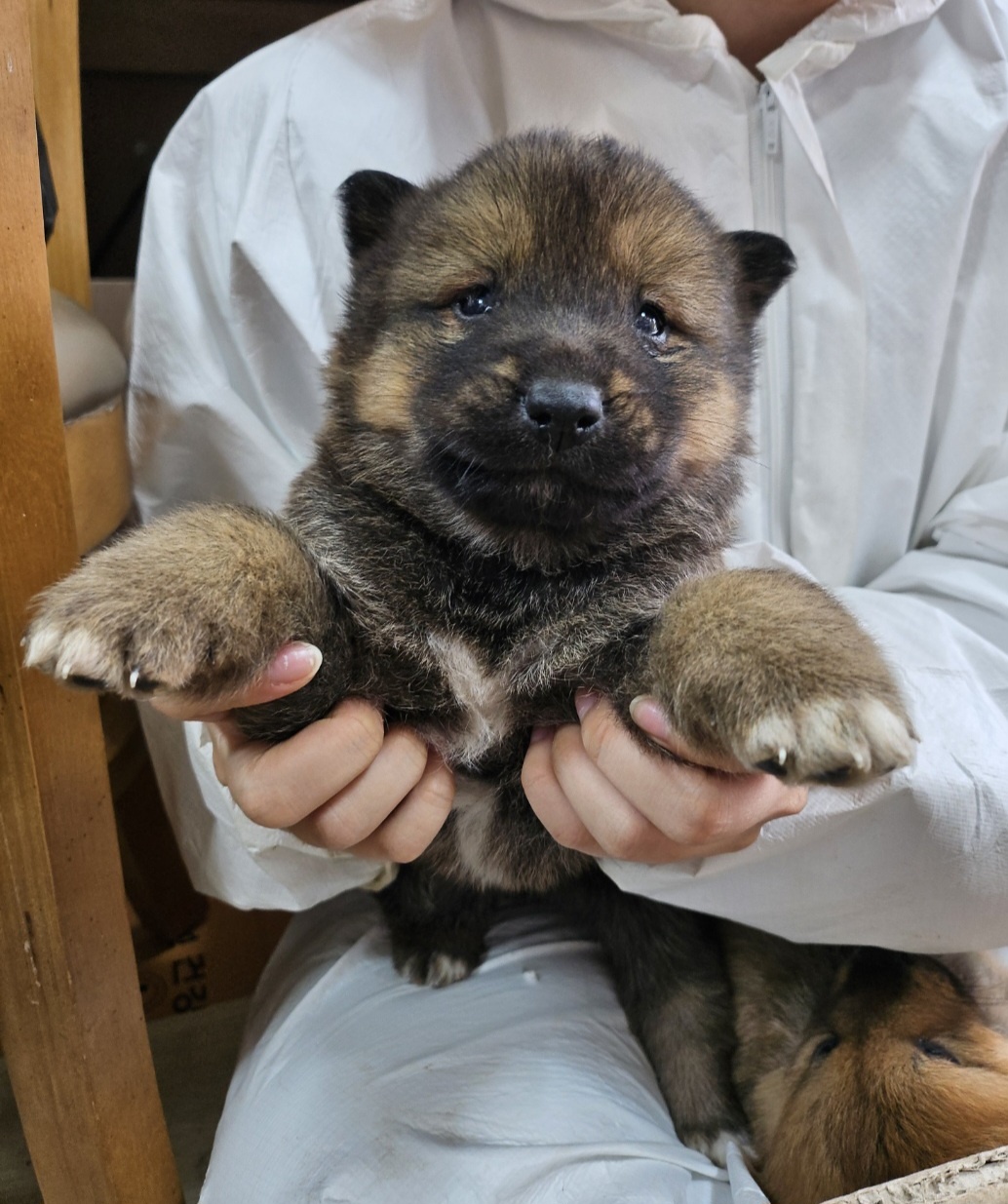 울산유기동물보호센터_431373202500106