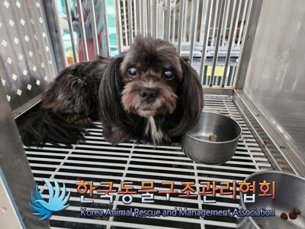 한국동물구조관리협회_411307202500012