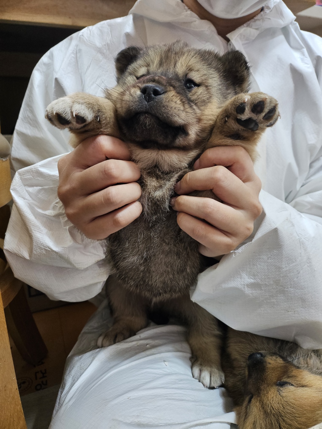 울산유기동물보호센터_431373202500107