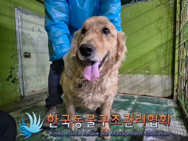 한국동물구조관리협회_441560202500130