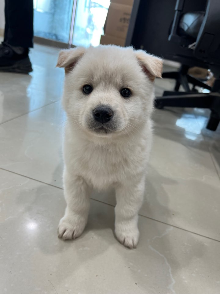 반려동물보호센터_443571202500101