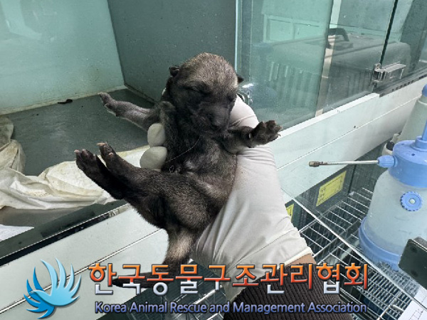 한국동물구조관리협회_411317202500017