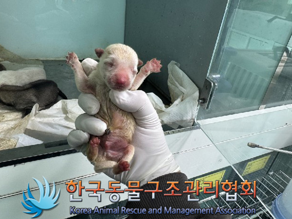 종료(자연사) 믹스…