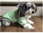 청조동물병원_426337202500021