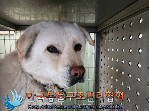 한국동물구조관리협회_441414202500050