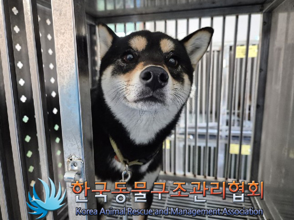 종료(반환) 시바의…