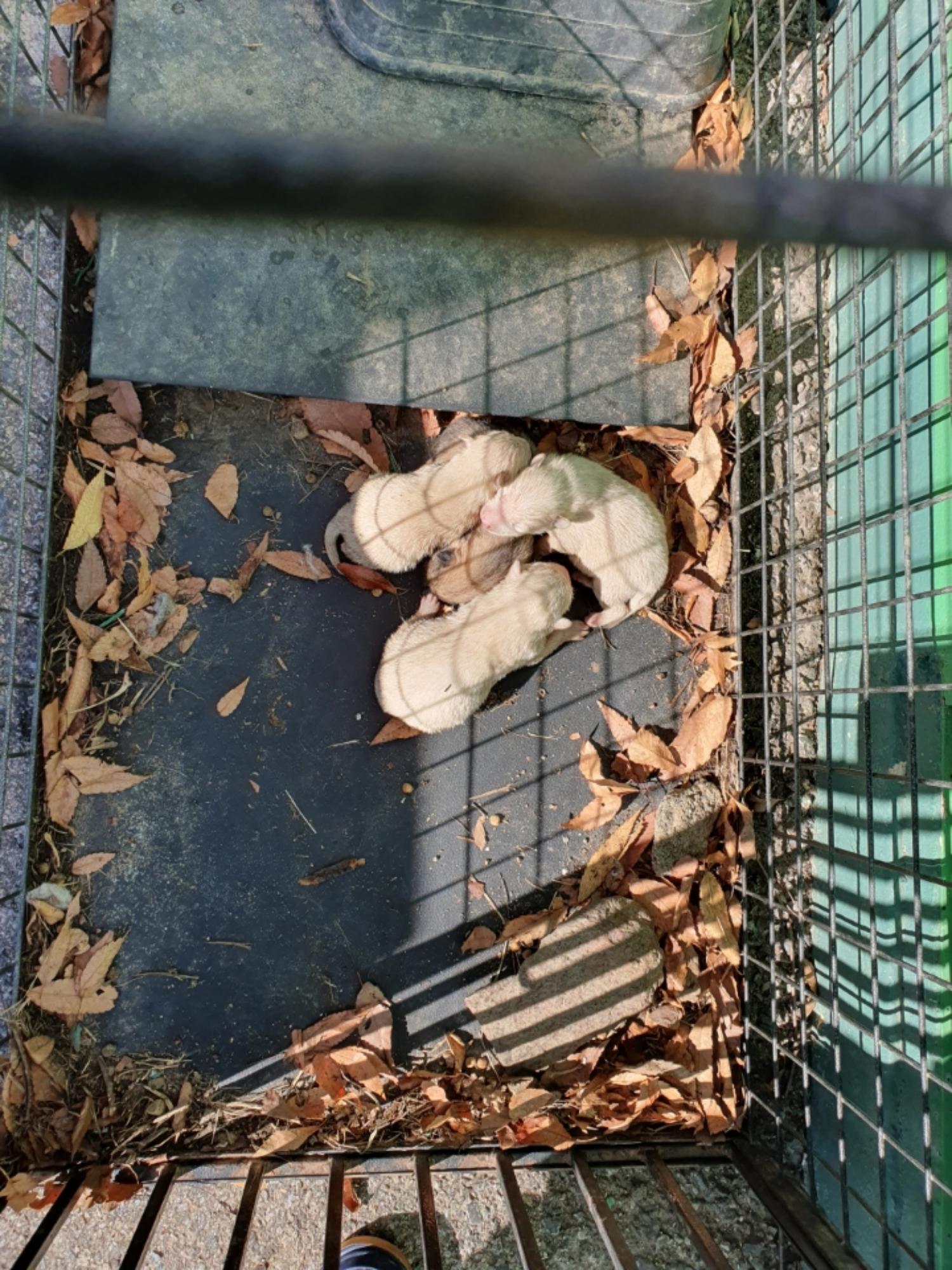 최종주동물병원_443444202500034