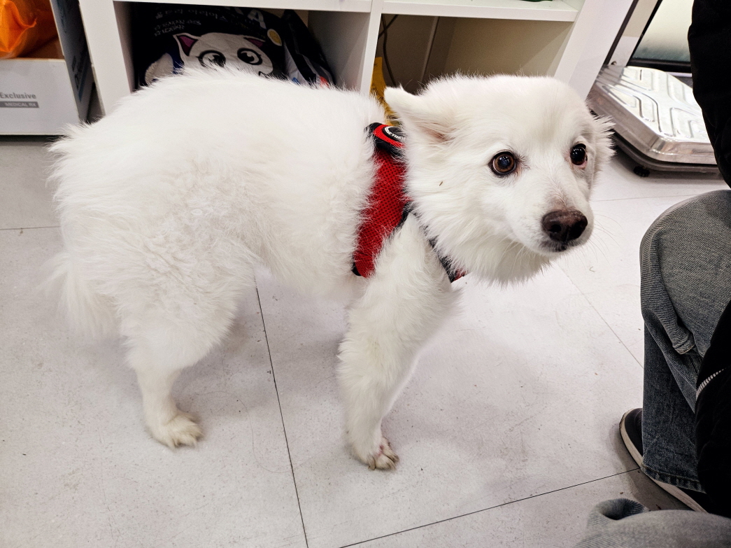 남산동물병원_411302202500015