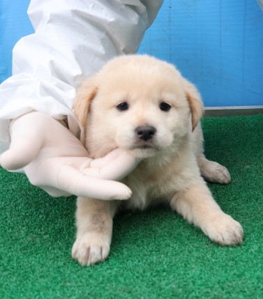 제주 동물보호센터_450650202500342