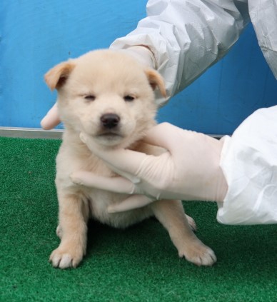 제주 동물보호센터_450650202500341