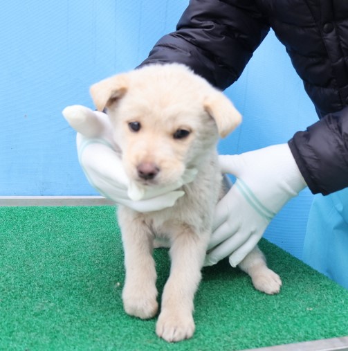 제주 동물보호센터_450650202500346