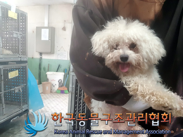 한국동물구조관리협회_411316202500011
