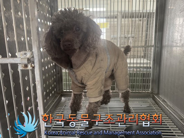 종료(반환) 미니어…