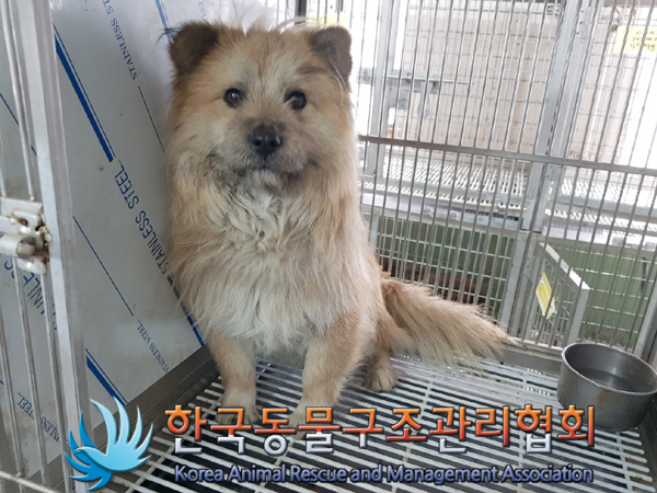 한국동물구조관리협회_441560202500137