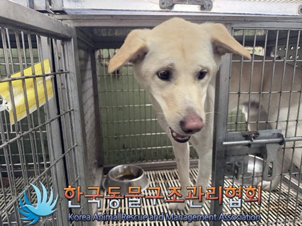 한국동물구조관리협회_411303202500014