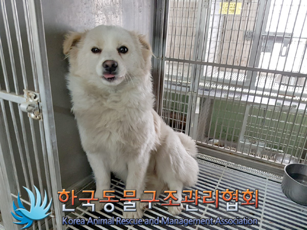 한국동물구조관리협회_441560202500136