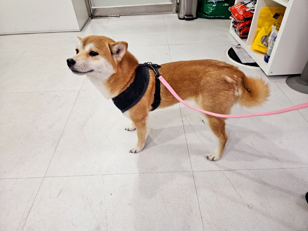 남산동물병원_411302202500017