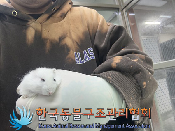 한국동물구조관리협회_411311202500020