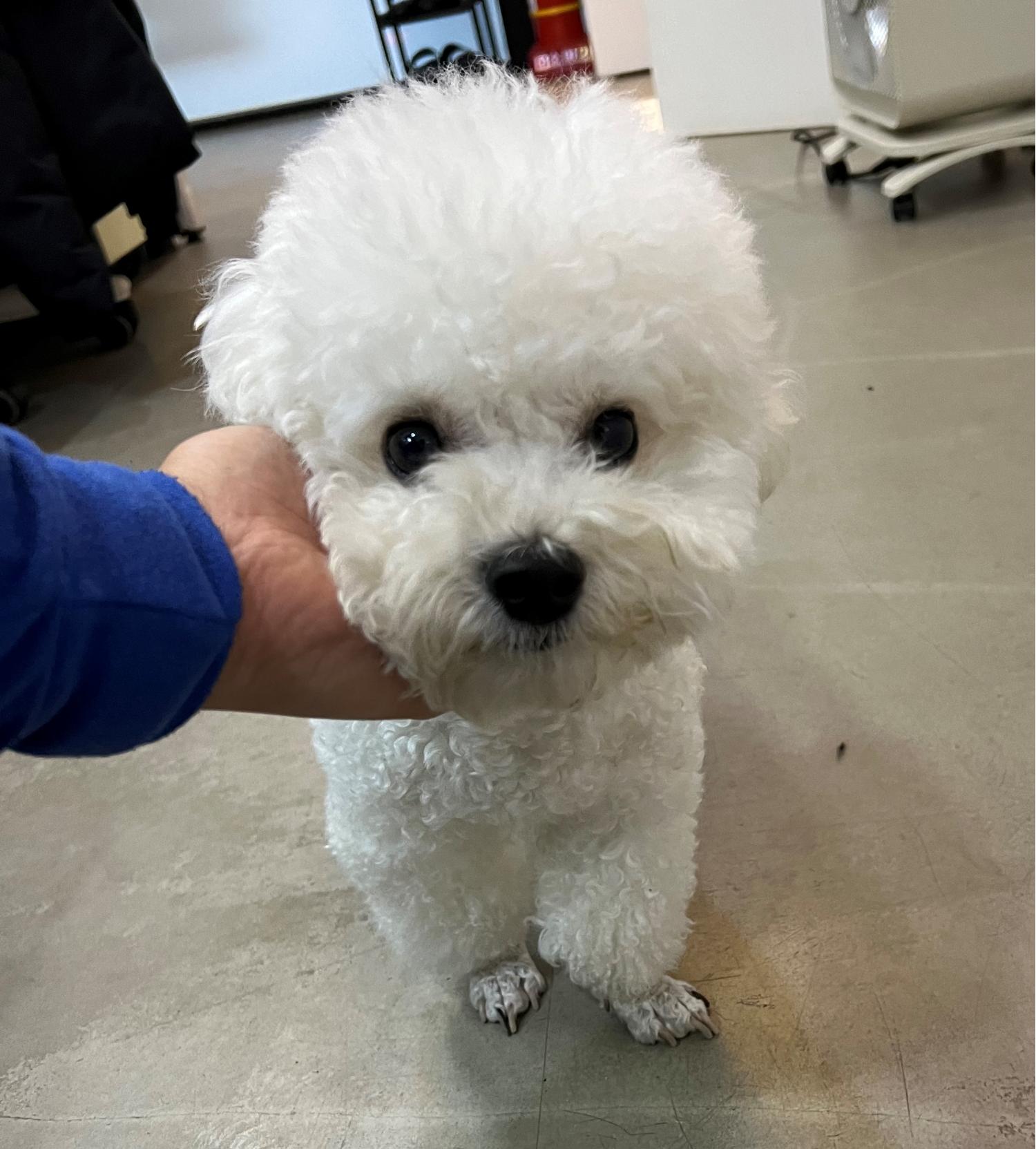 서초동물사랑센터_411321202500011