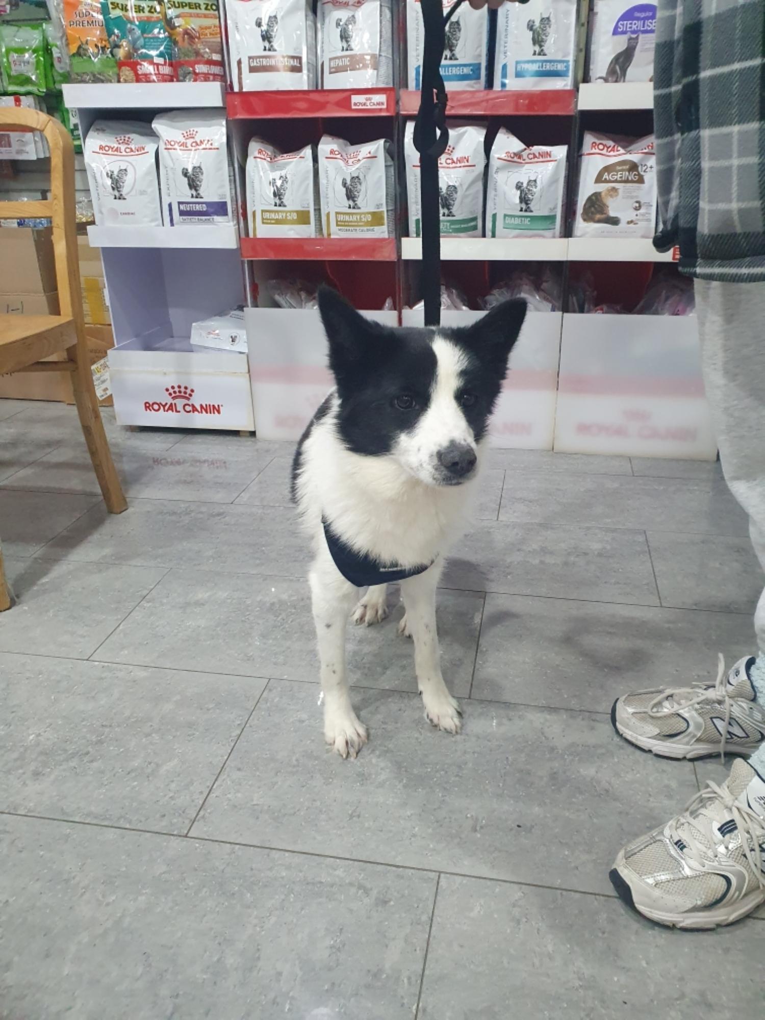 펫앤쉘터동물병원_441378202500049