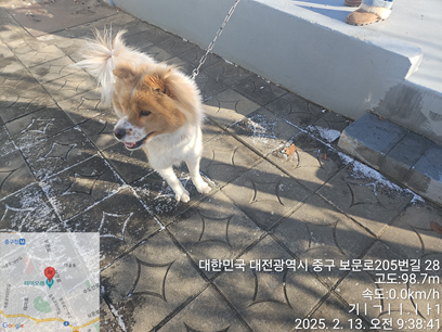 대전동물보호센터_430365202500020