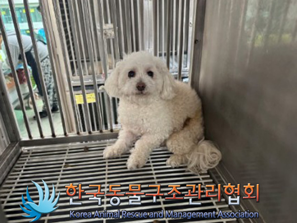 한국동물구조관리협회_411305202500022