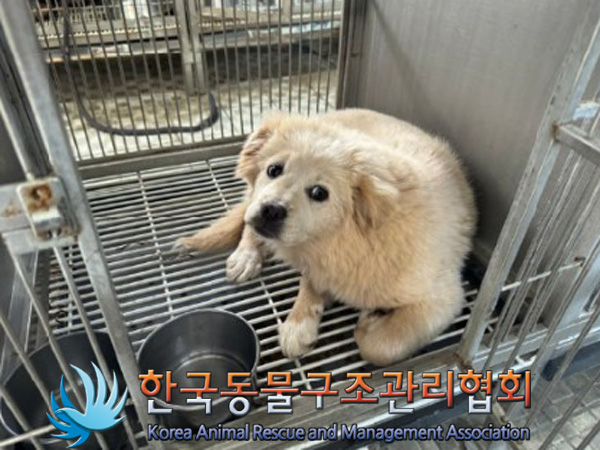한국동물구조관리협회_441560202500146