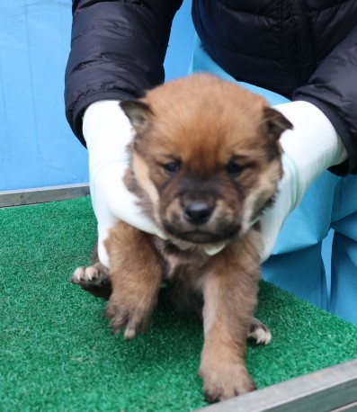 제주 동물보호센터_450650202500357