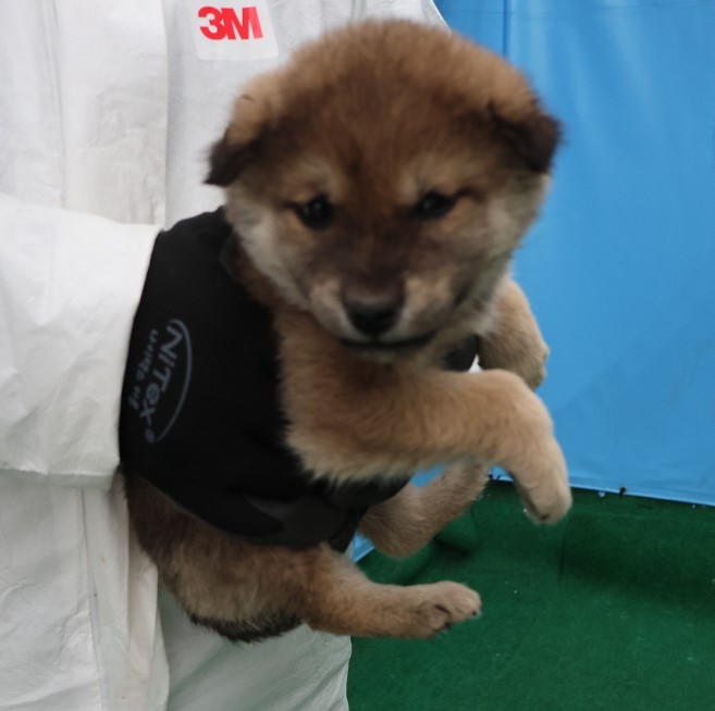 제주 동물보호센터_450650202500358