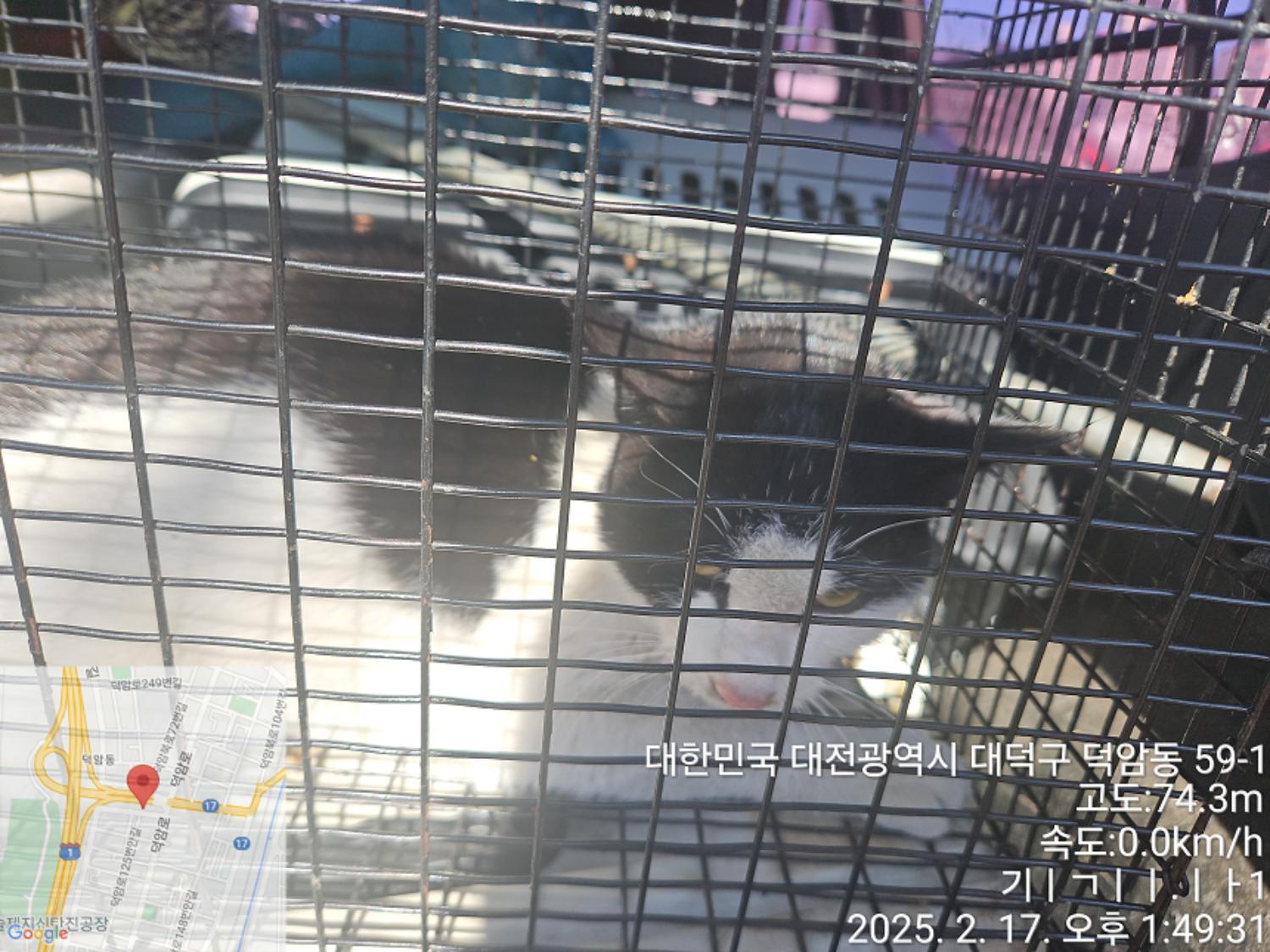 대전동물보호센터_430368202500024
