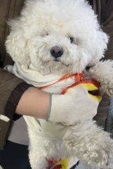 인천광역시수의사회_428352202500018