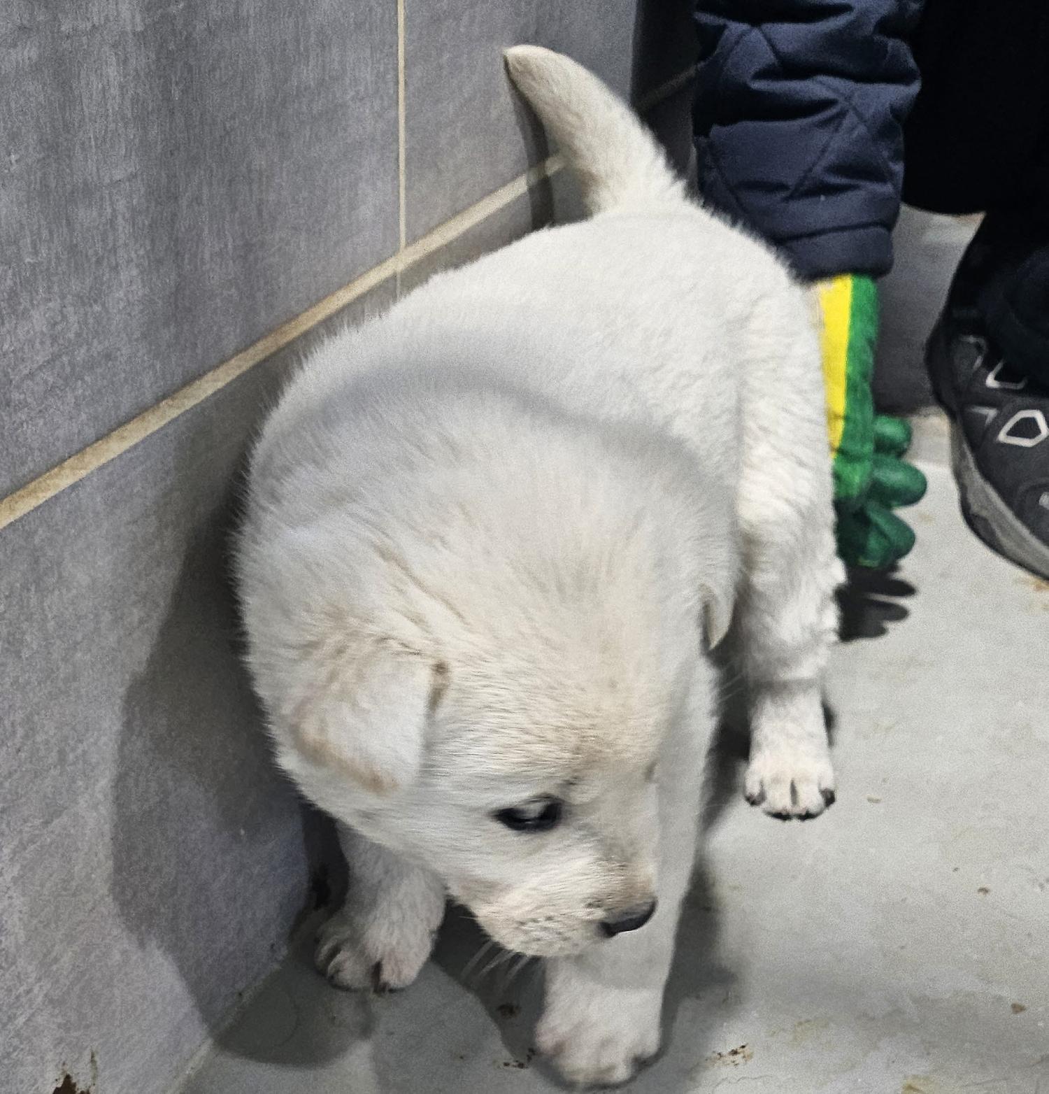 울진군동물보호센터_447525202500049