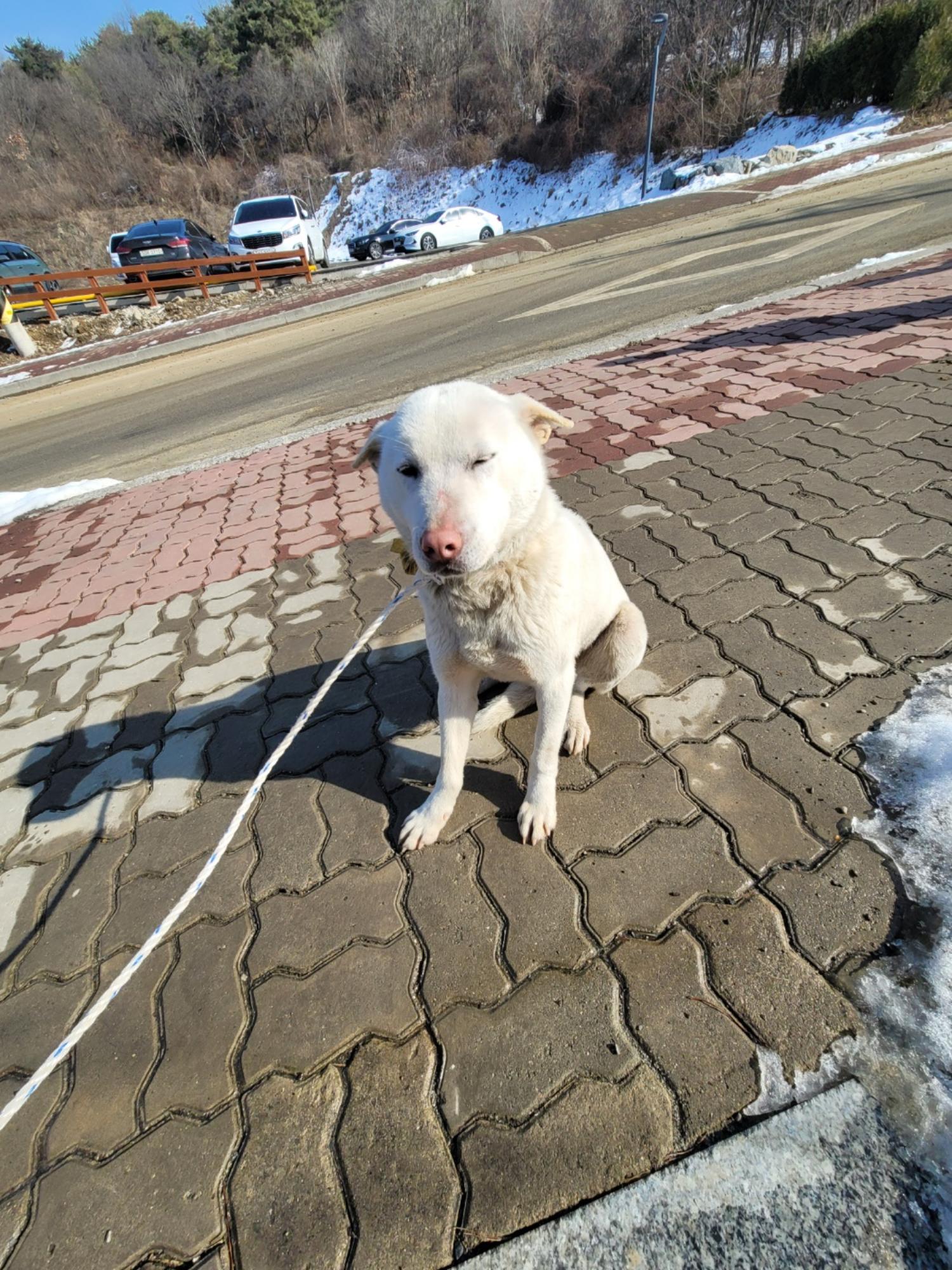 괴산증평동물보호센터_443446202500023