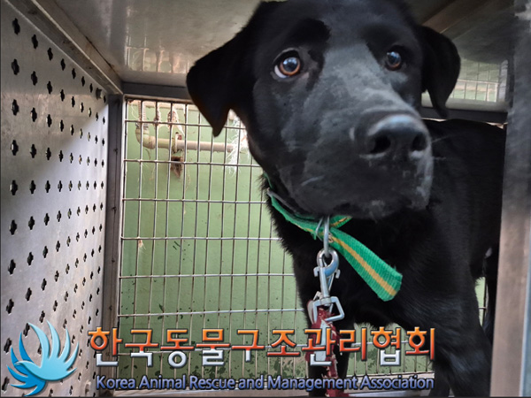 한국동물구조관리협회_441398202500020