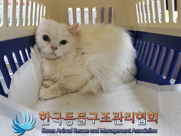 한국동물구조관리협회_411310202500010