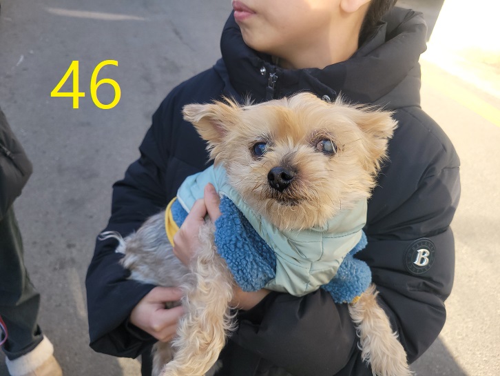 신영재동물병원_428355202500046