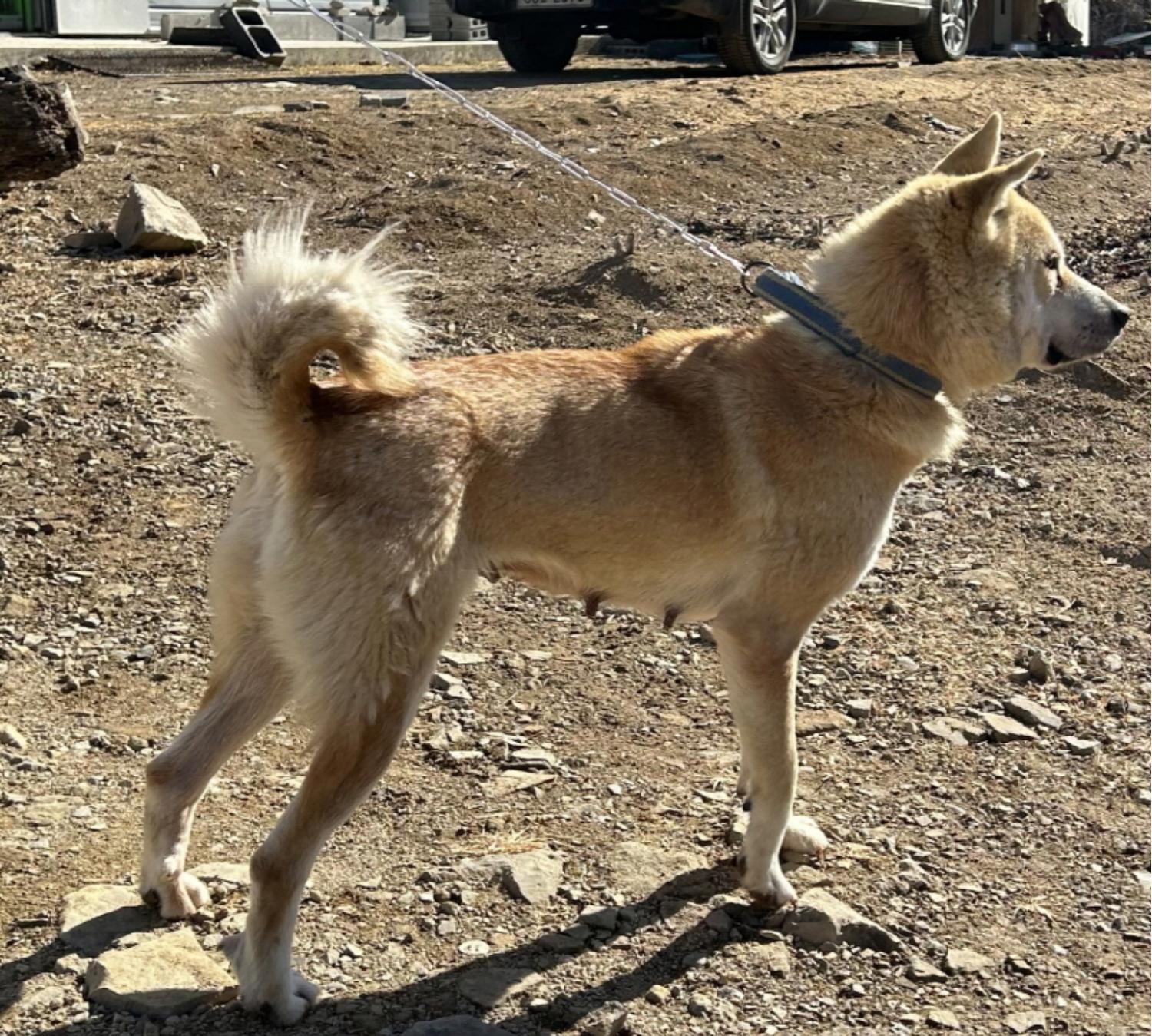 점곡동물보호센터_447516202500026