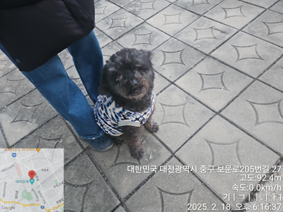 대전동물보호센터_430365202500024